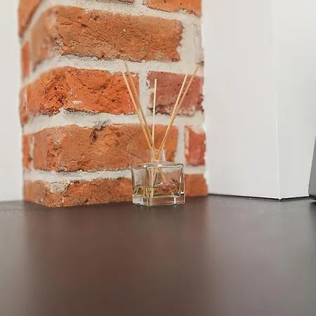 Grey Panther In The Heart Of *