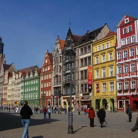 Grey Panther In The Heart Of * Wrocław