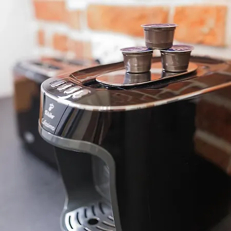 Grey Panther In The Heart Of Appartement *