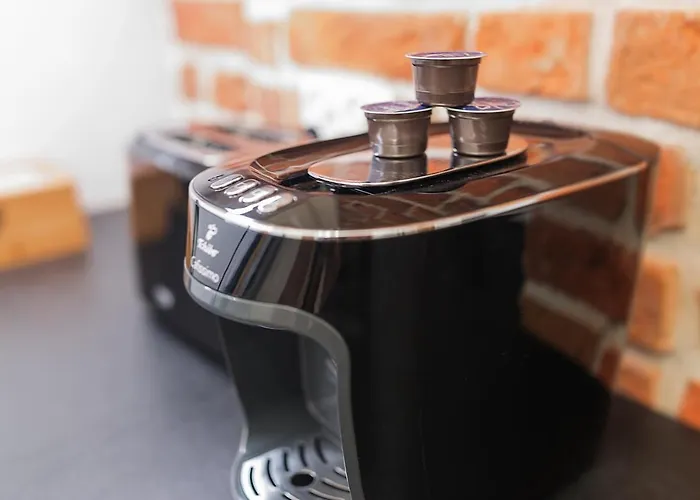 Grey Panther In The Heart Of Lejlighed *